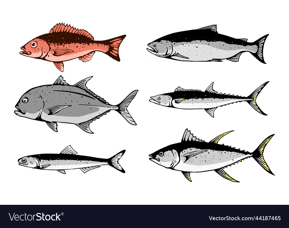 Fish set hand drawn color version