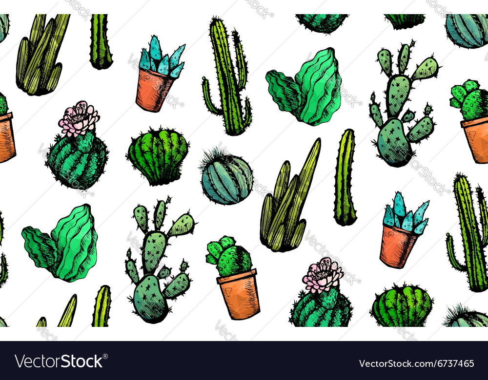Hand drawn isolated cactuses seamless pattern