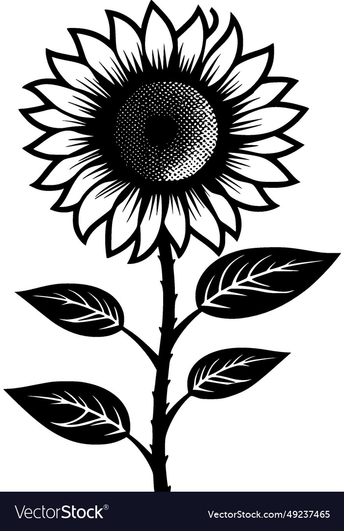 Sunflower - minimalist and simple silhouette