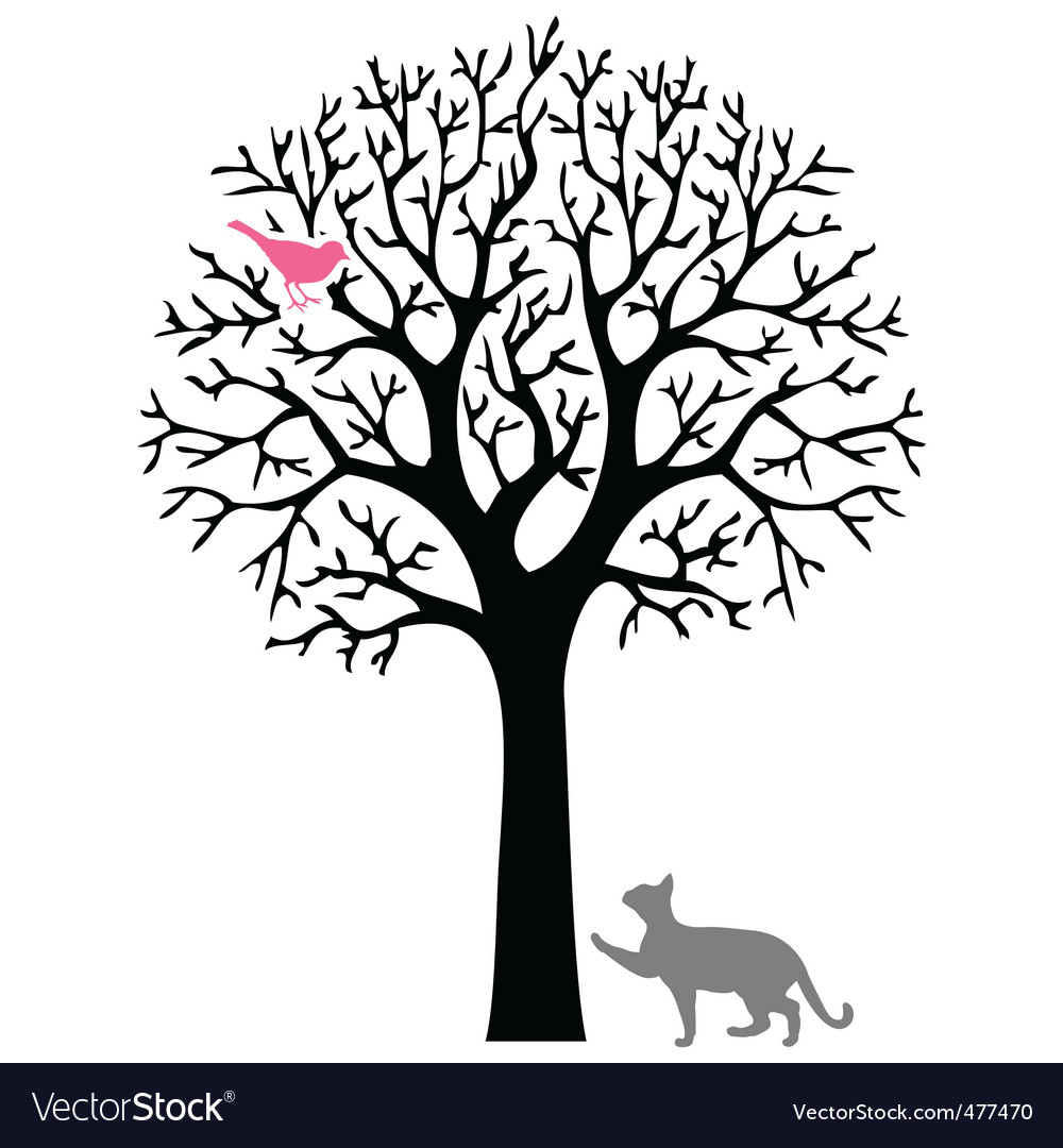 Cat Chase Bird Tree