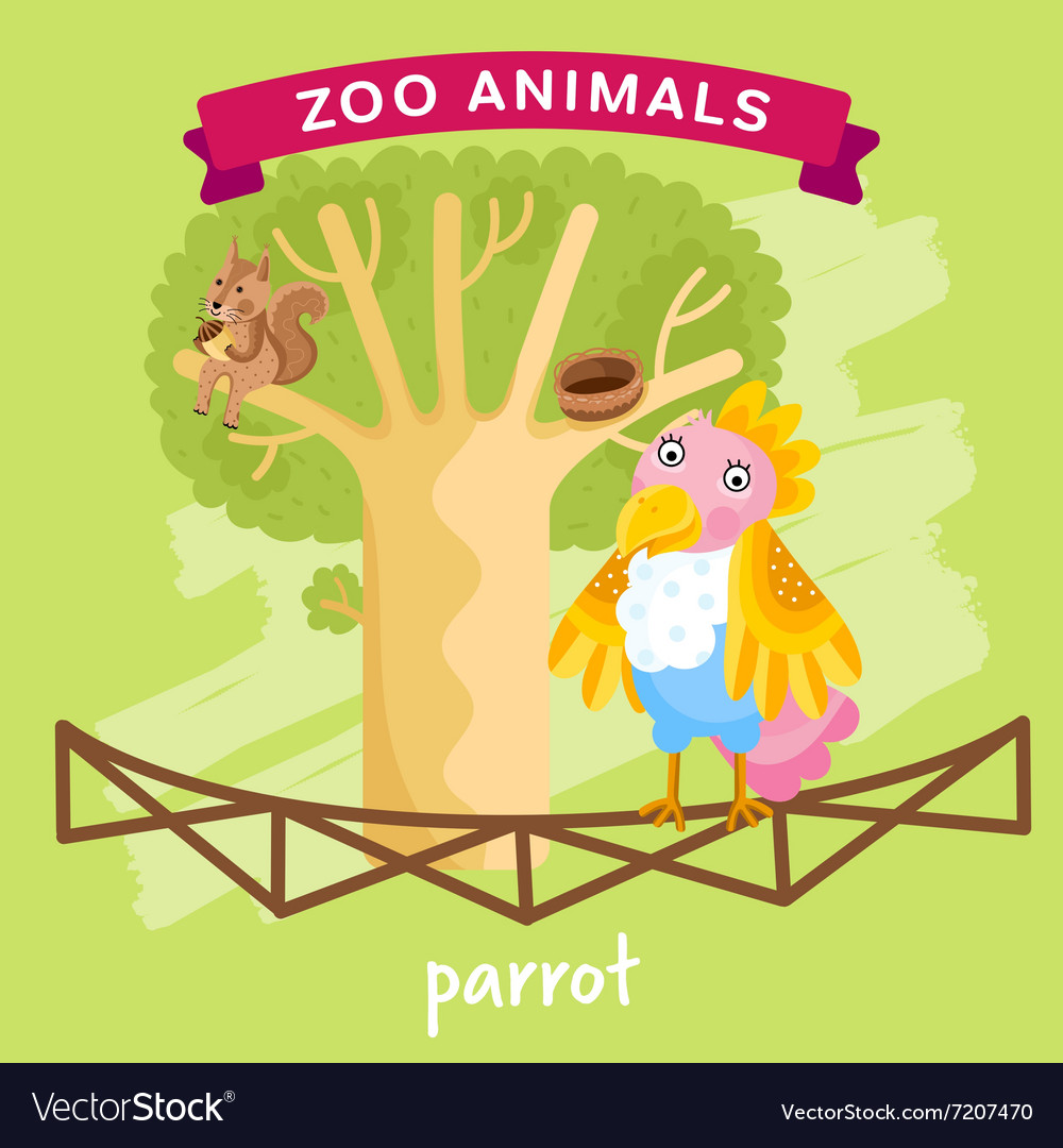 Zoo animal parrot