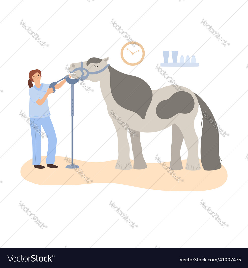 A image of horse dental care