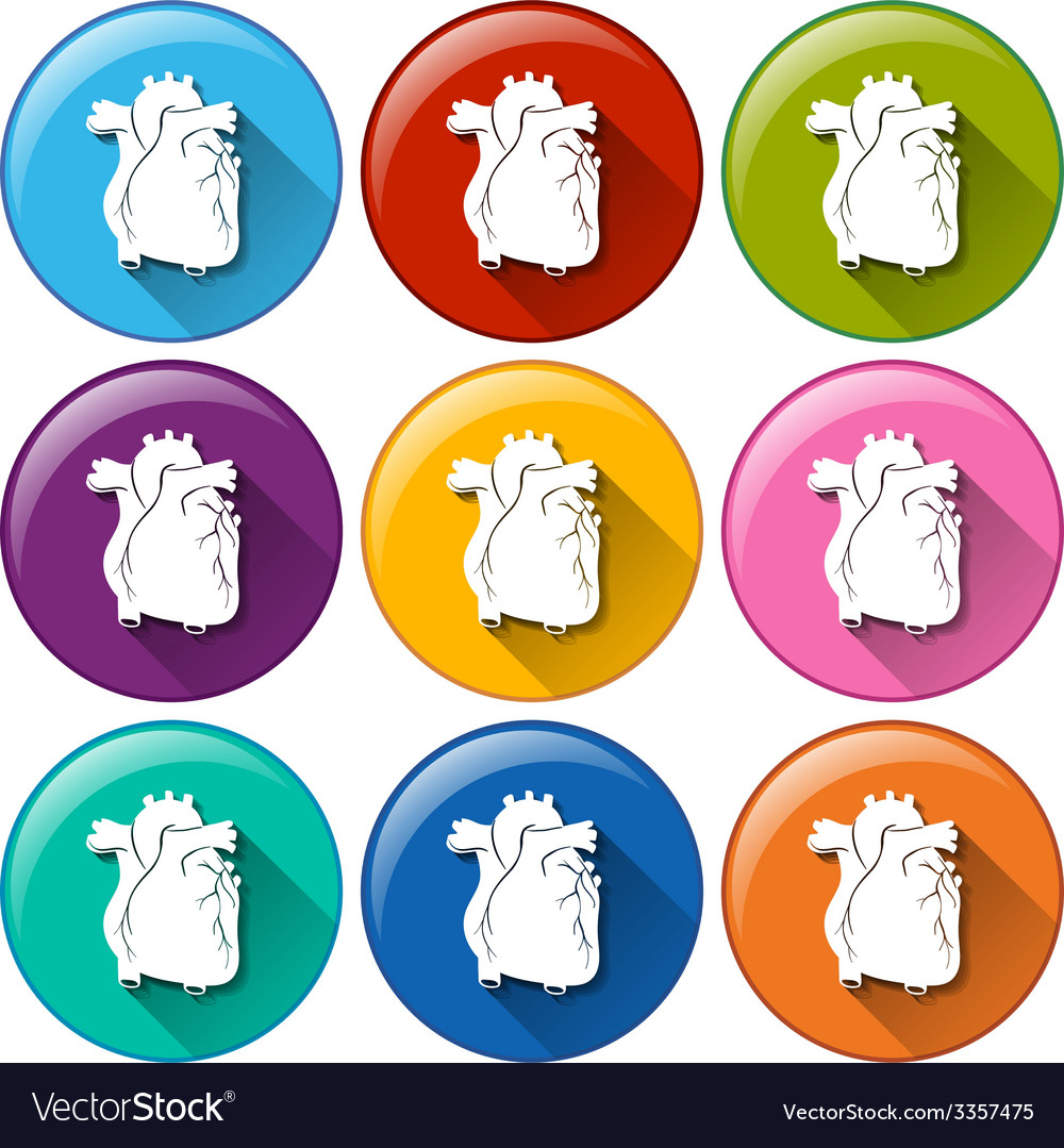 Buttons with heart organs