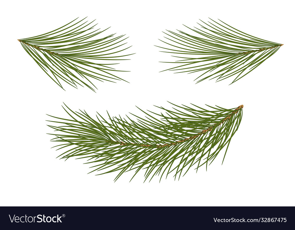 Pine Branch Set