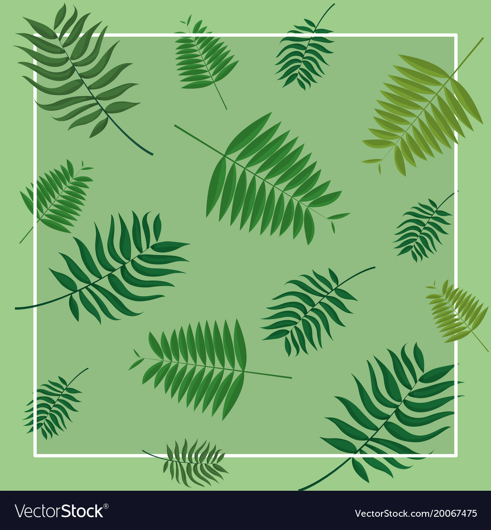 Tropical leaves frame