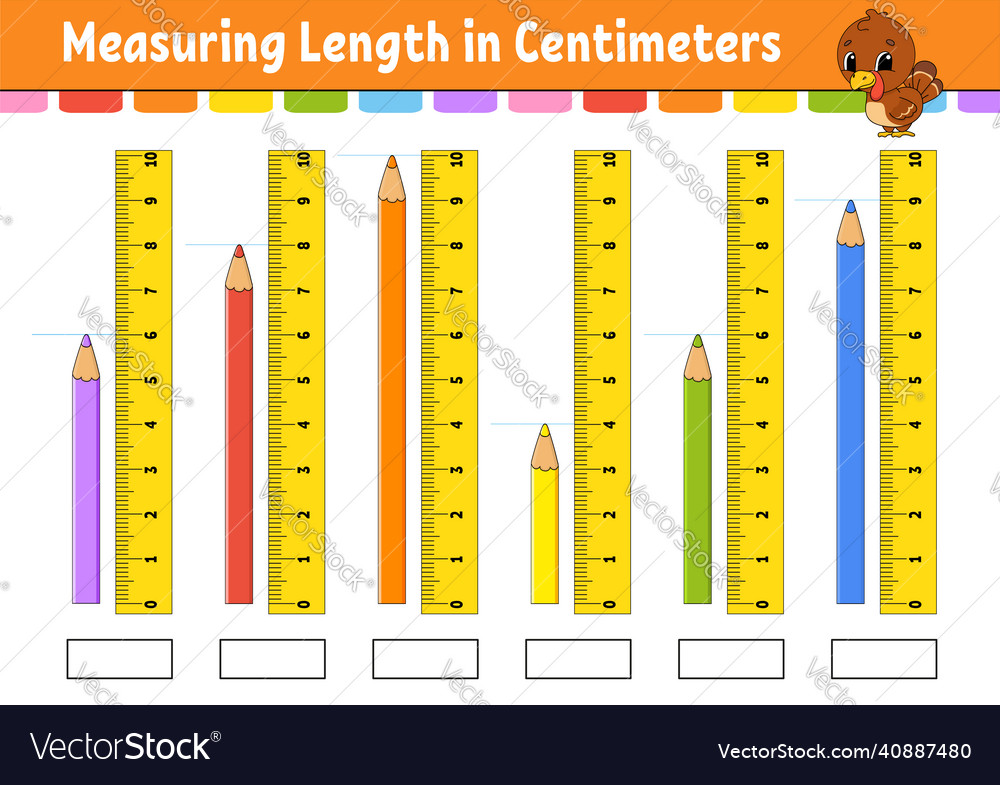 Measuring length in centimeter with ruler