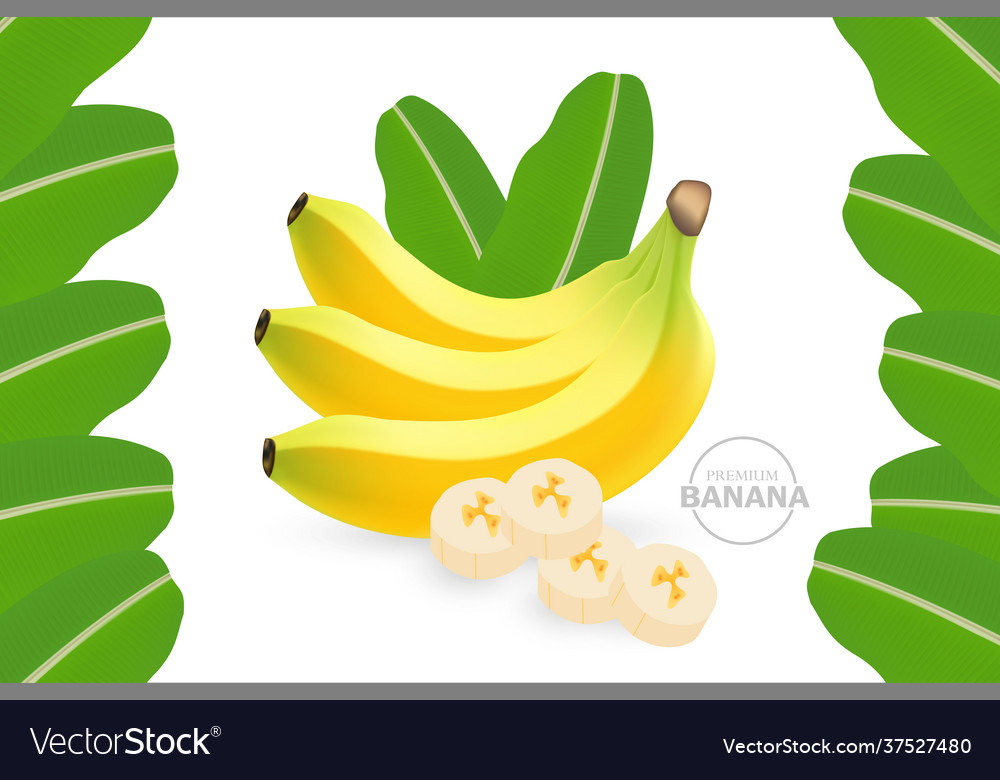 Realistic fresh banana for good health Royalty Free Vector
