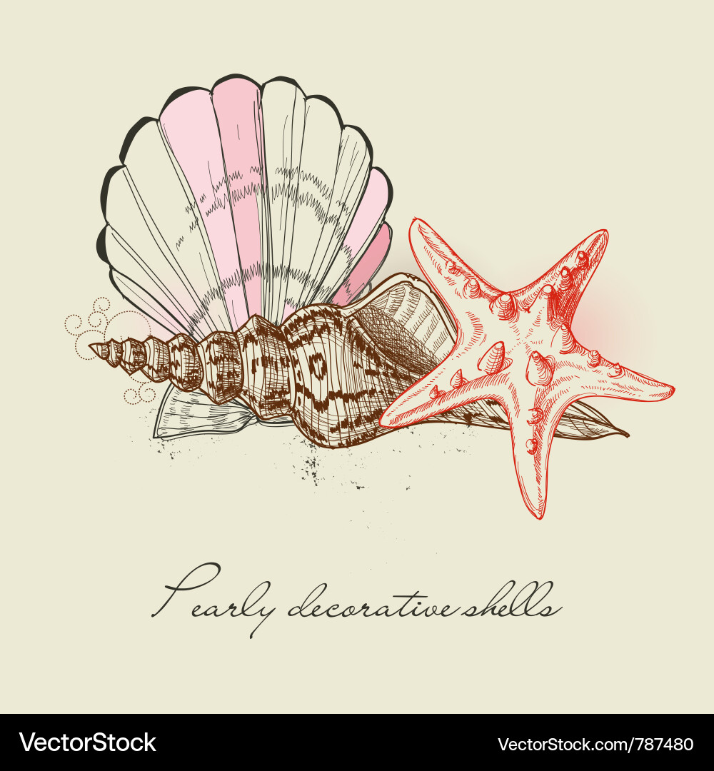 Shells and starfish background Royalty Free Vector Image