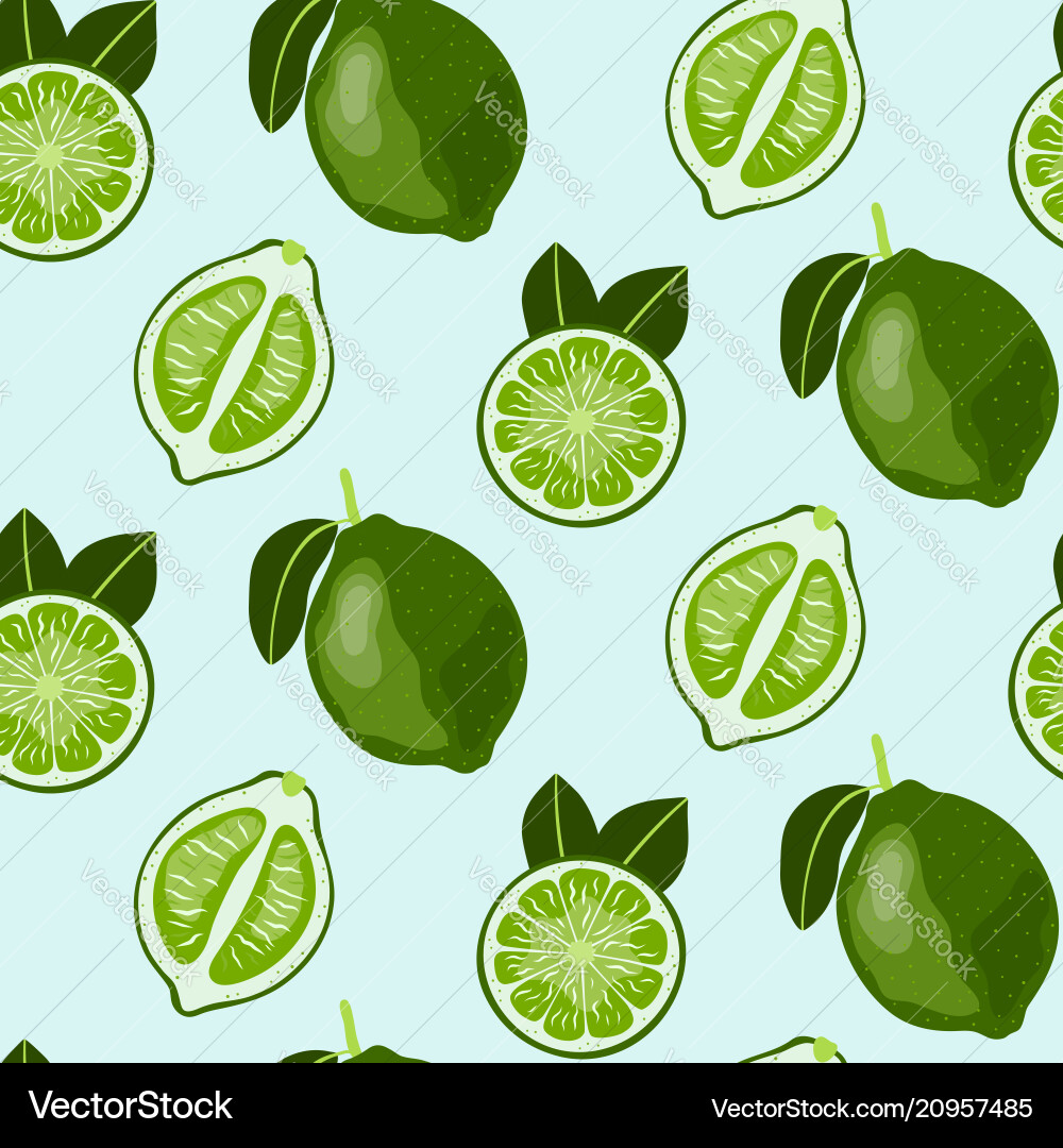 Hand drawn seamless pattern with lime fruit Vector Image