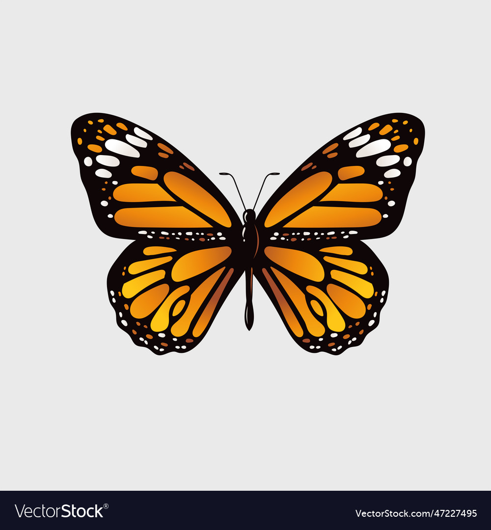 Monarch Butterfly Artwork