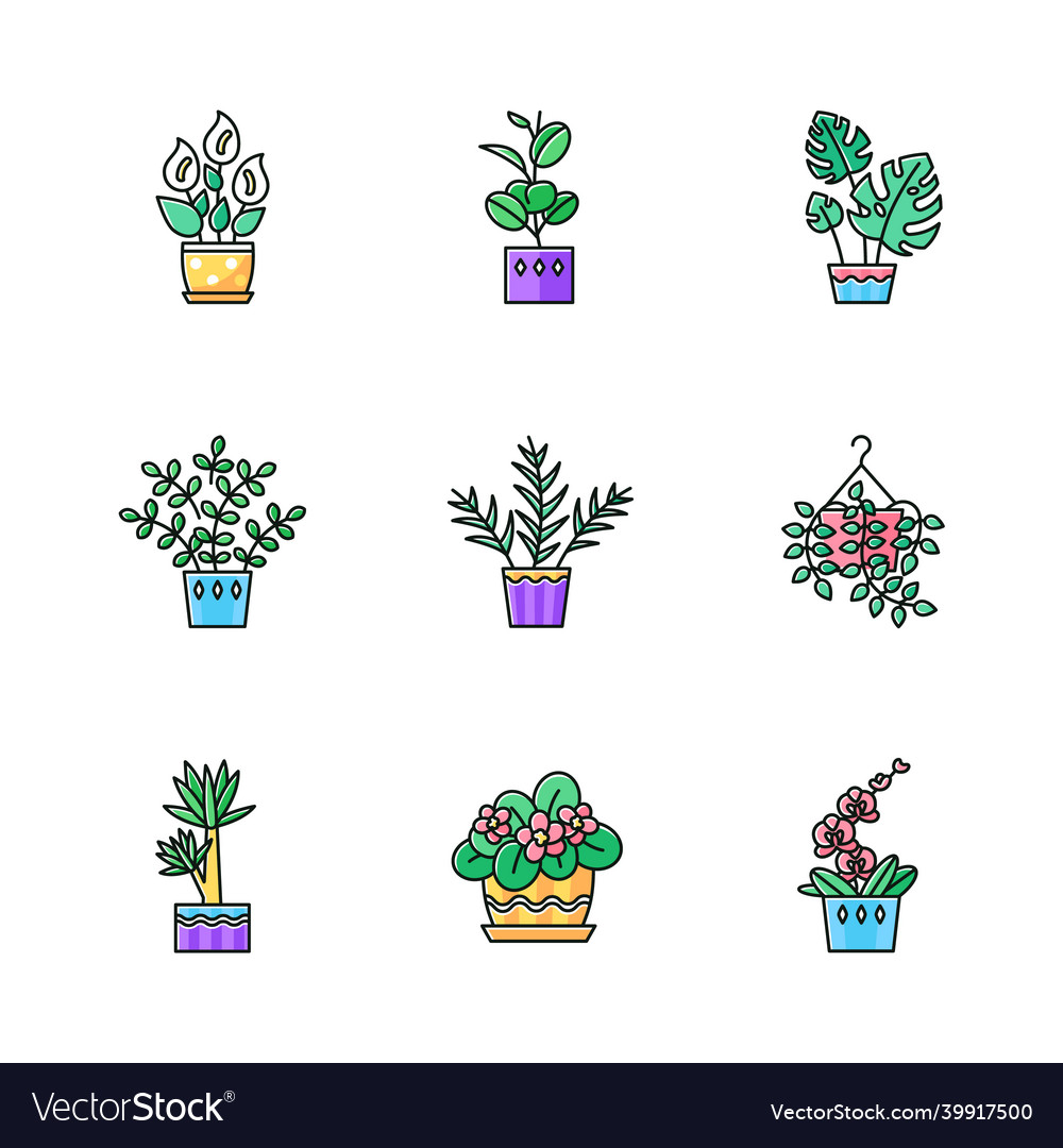Domesticated plants rgb color icons set vector image Domesticated plants rgb color icons set