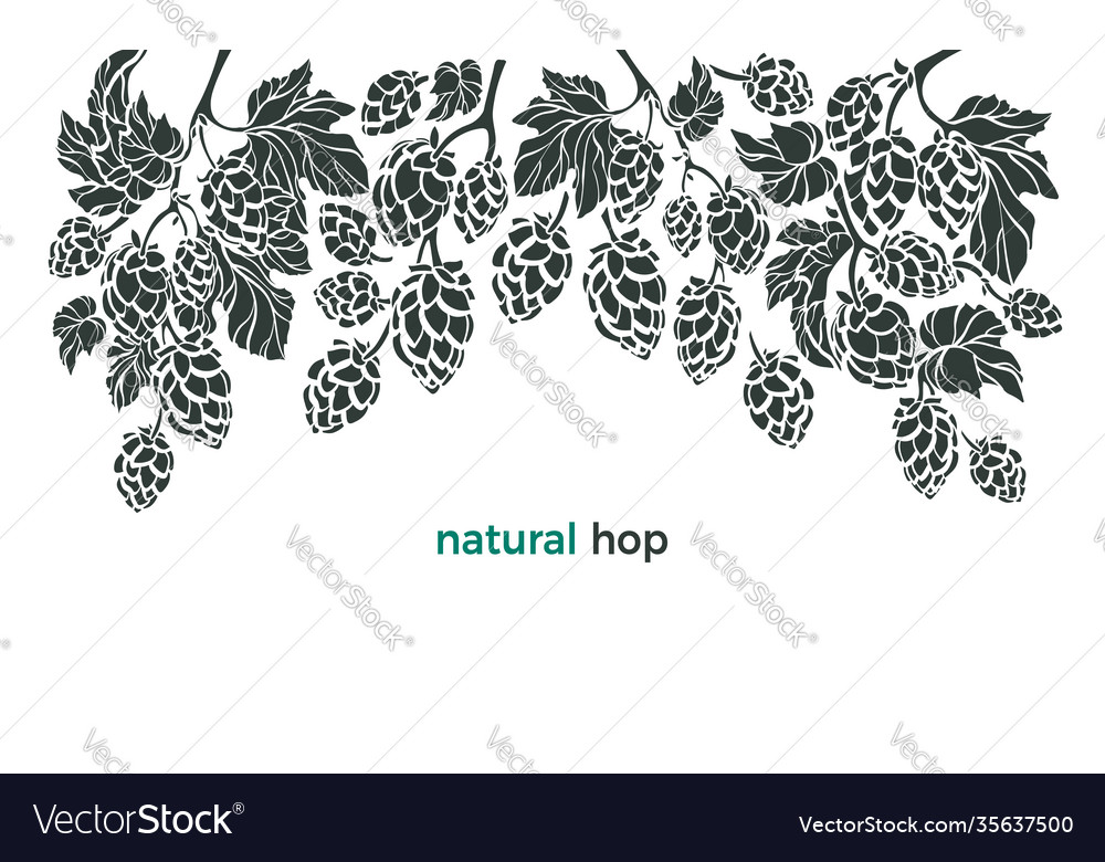 Hop Botany Border - Beer Pattern