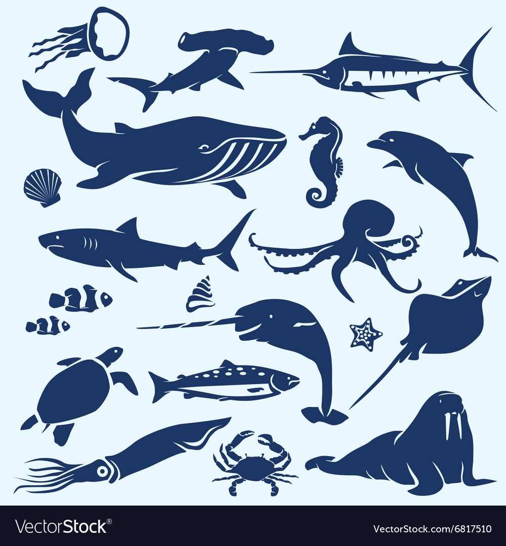 Download Sealife sea and ocean animals and fish Royalty Free Vector