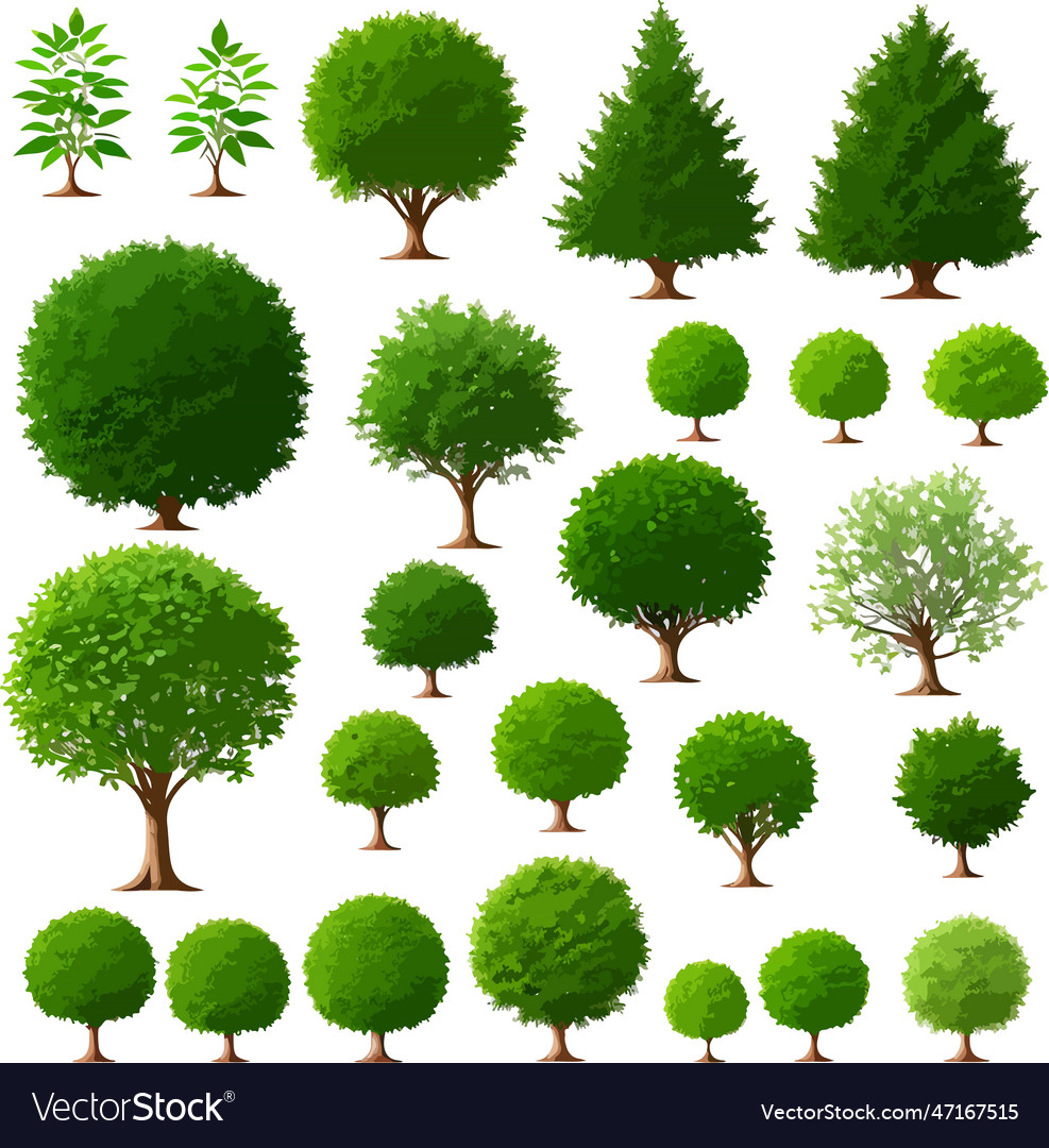 Excellent forest trees bushes plants art Vector Image