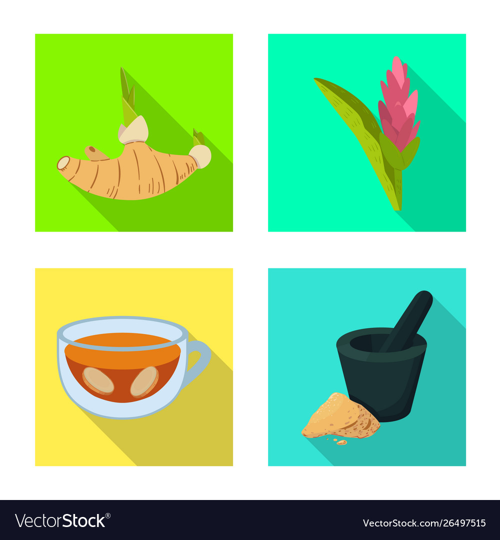 Isolated object fresh and product logo Vector Image Isolated object fresh and product logo