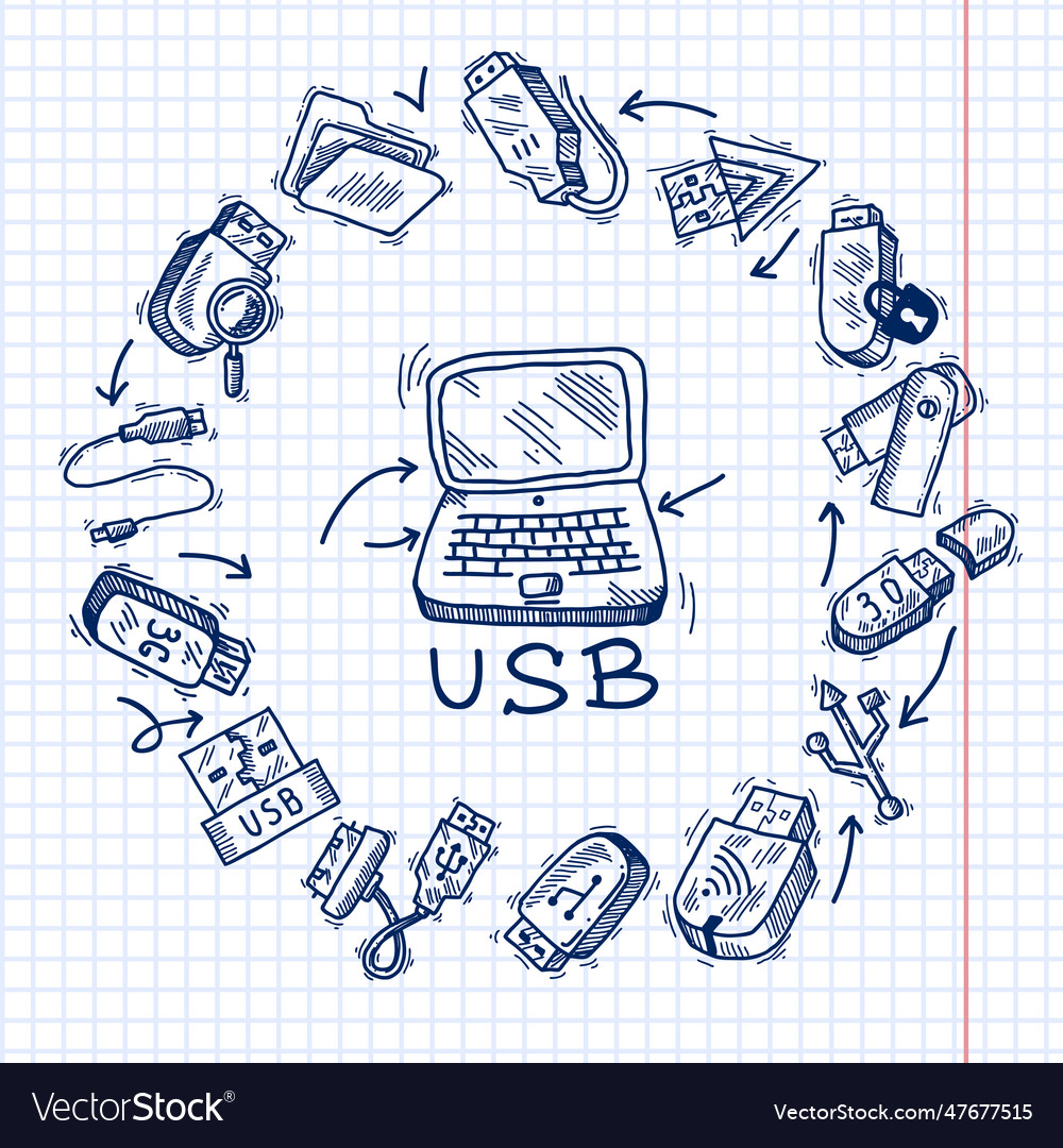 Usb and computer Vector Image Usb and computer
