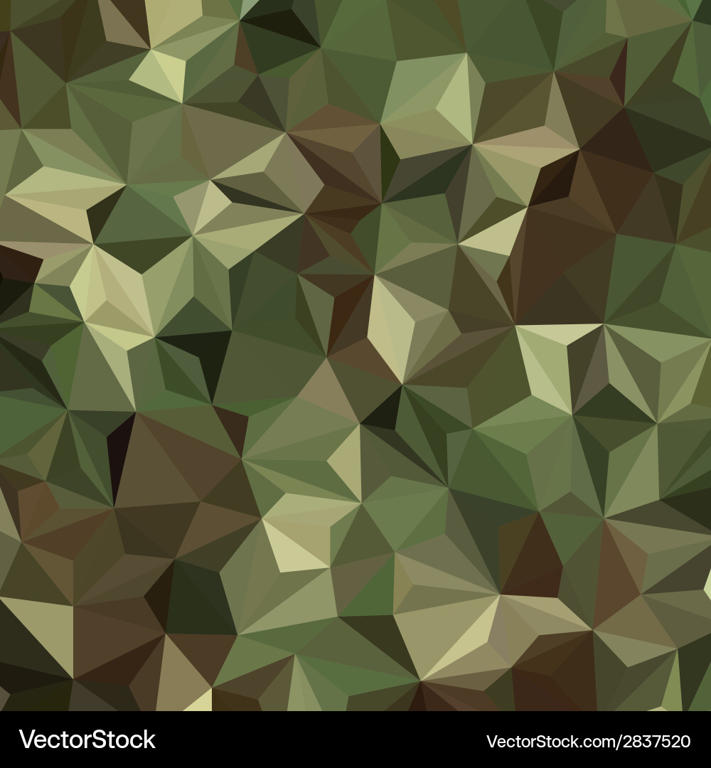 Abstract military camouflage background Royalty Free Vector
