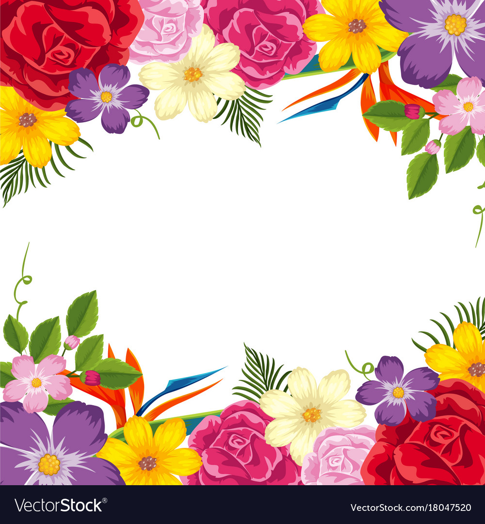 colorful flower border