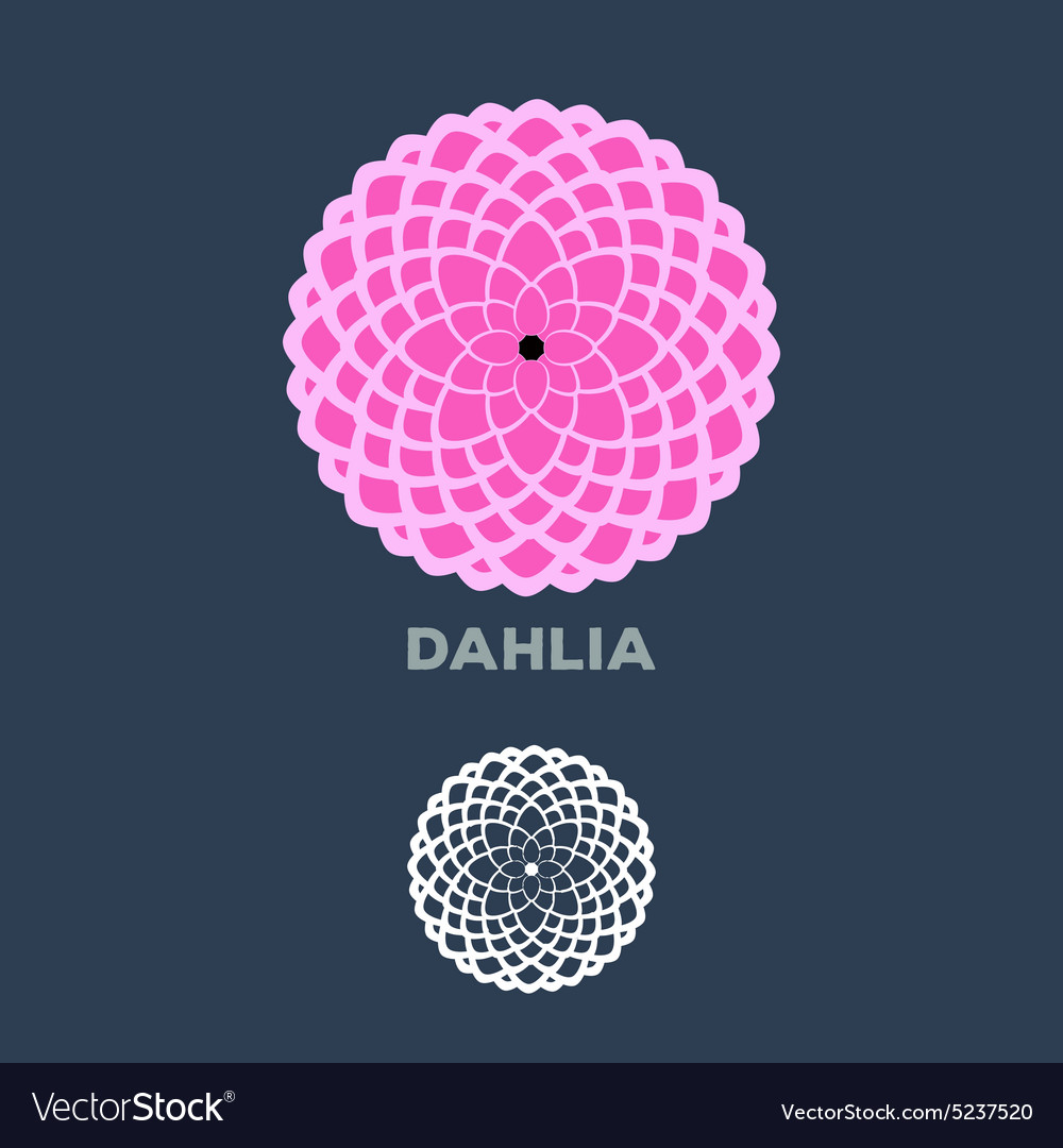 Dahlia Royalty Free Vector Image Vectorstock Dahlia Royalty Free Vector Image Vectorstock