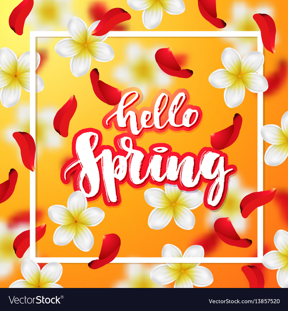 Hand drawn calligraphy hello spring vector image Hand drawn calligraphy hello spring