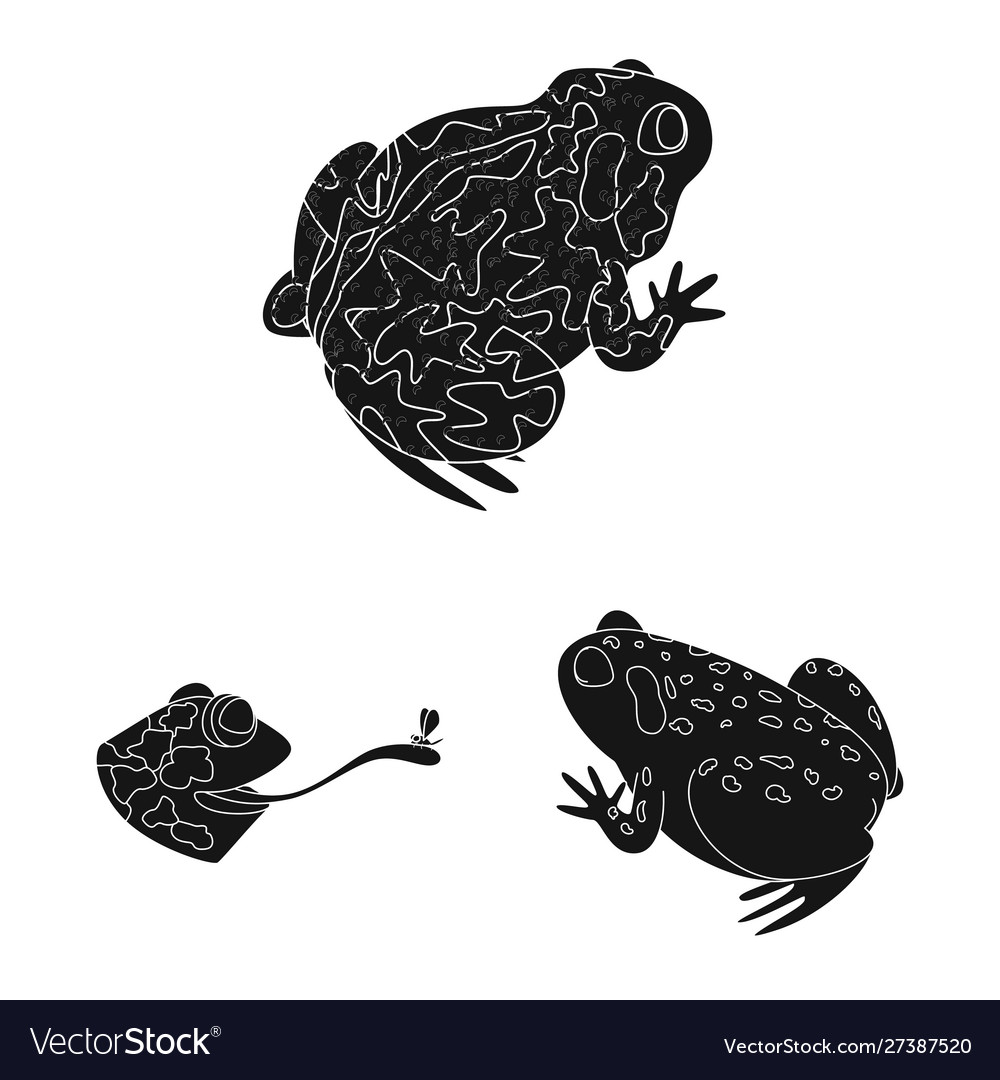 Isolated object fauna and reptile sign