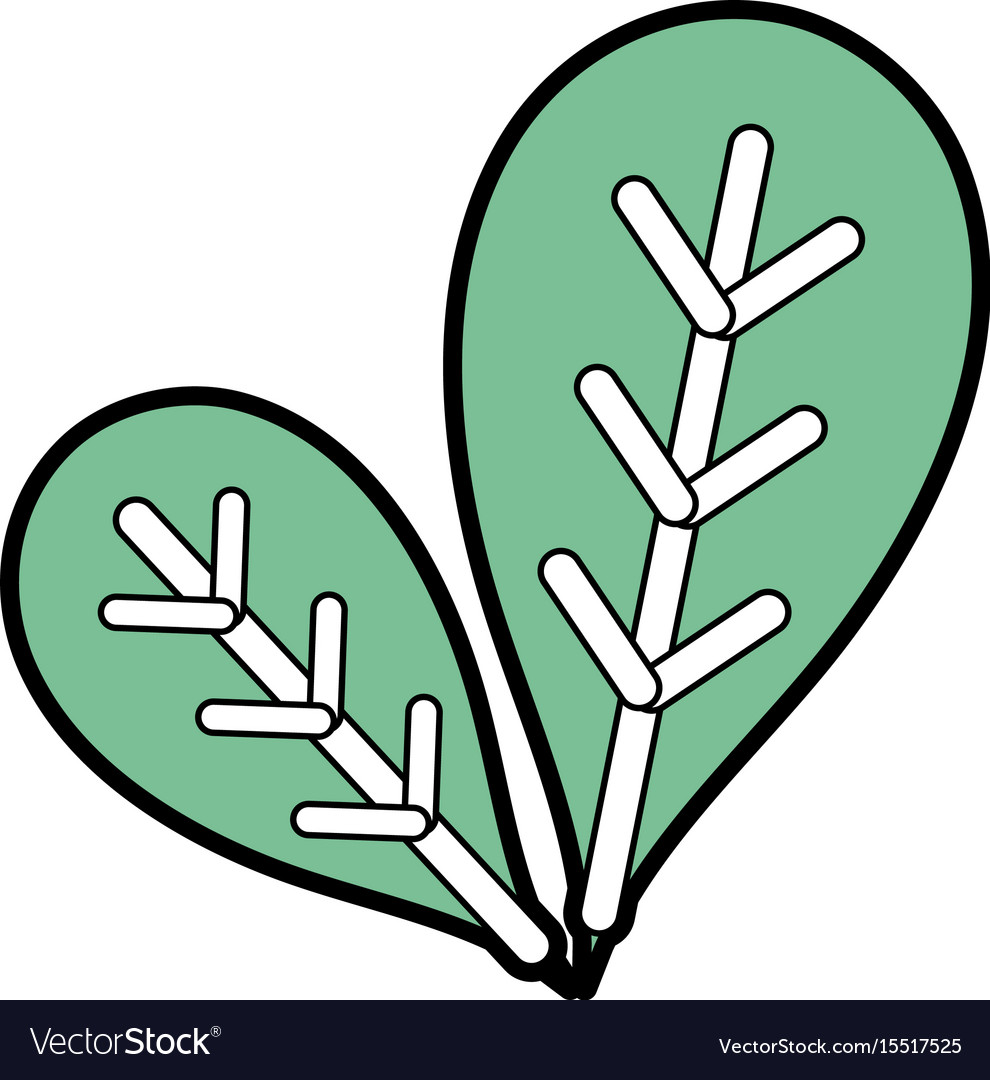 Botany leaves to ecology care symbol