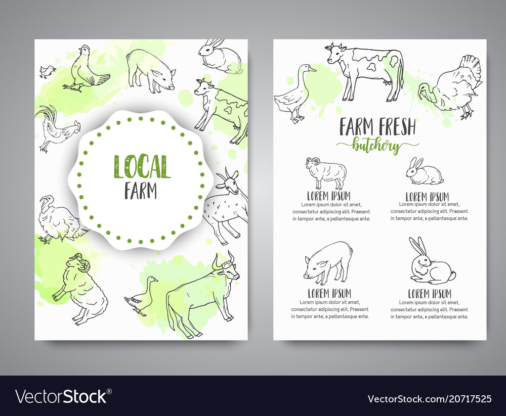 Hand drawn farm animals brochure local card Vector Image