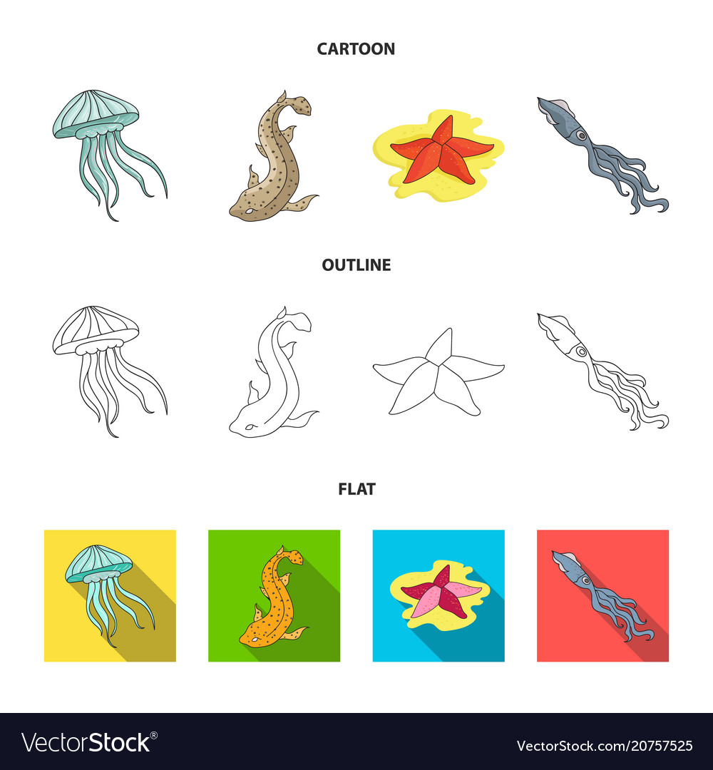 Jellyfish squid and other speciessea animals set