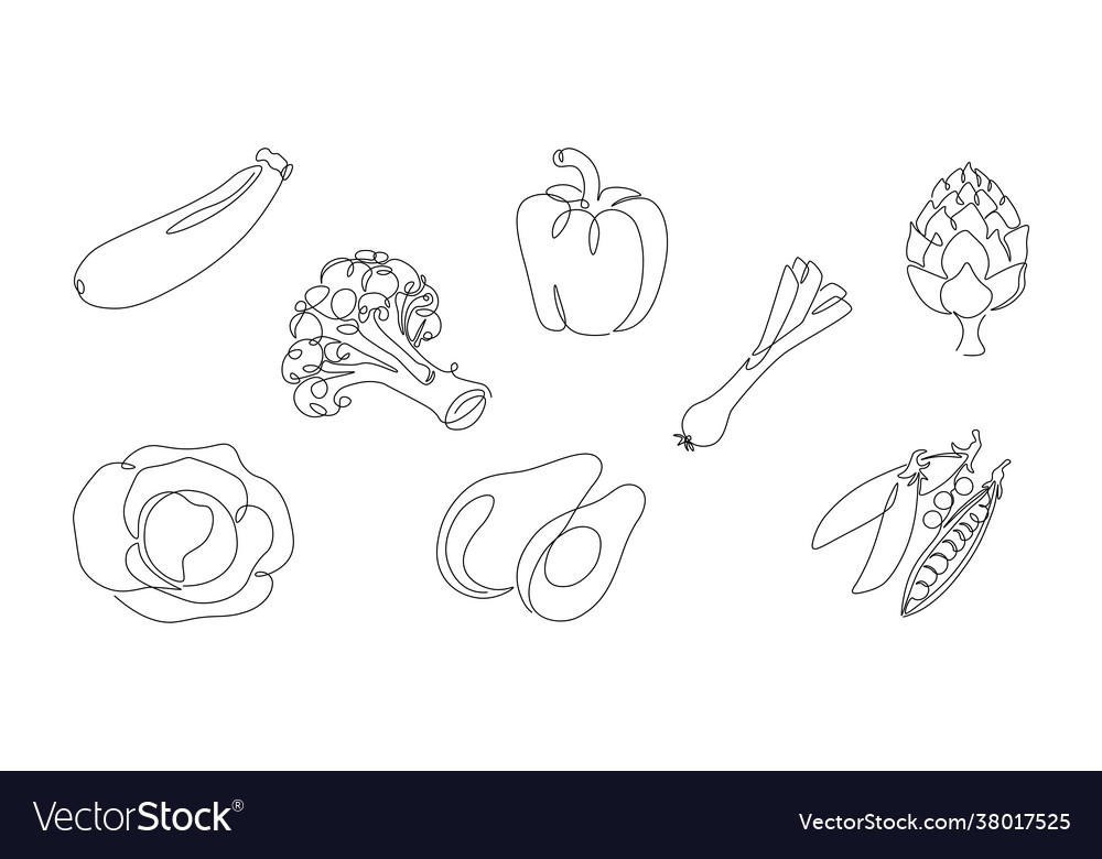 One line vegetables continuous monoline vegan Vector Image