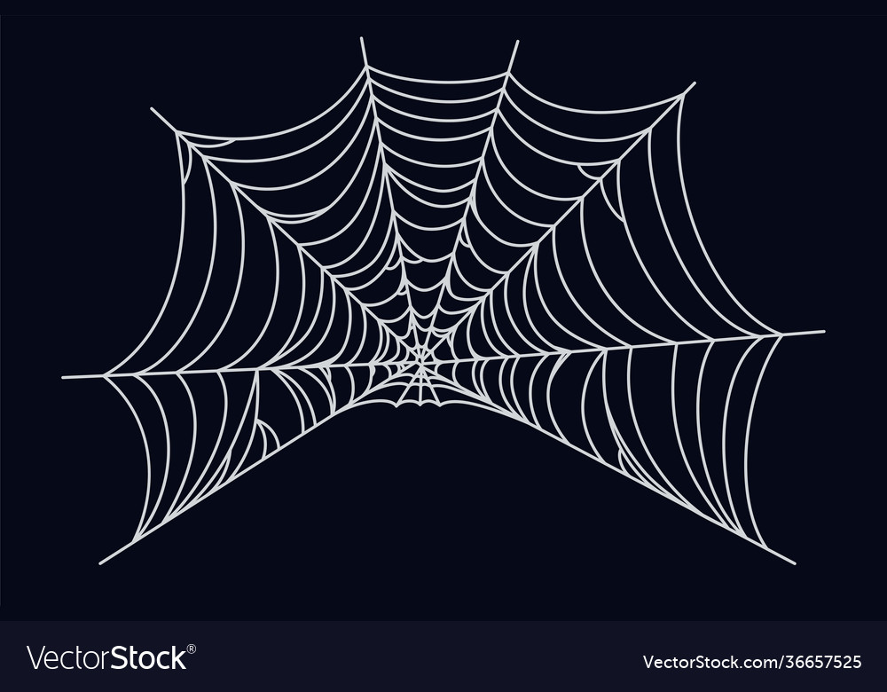Spider web cobweb isolated on dark vector image Spider web cobweb isolated on dark