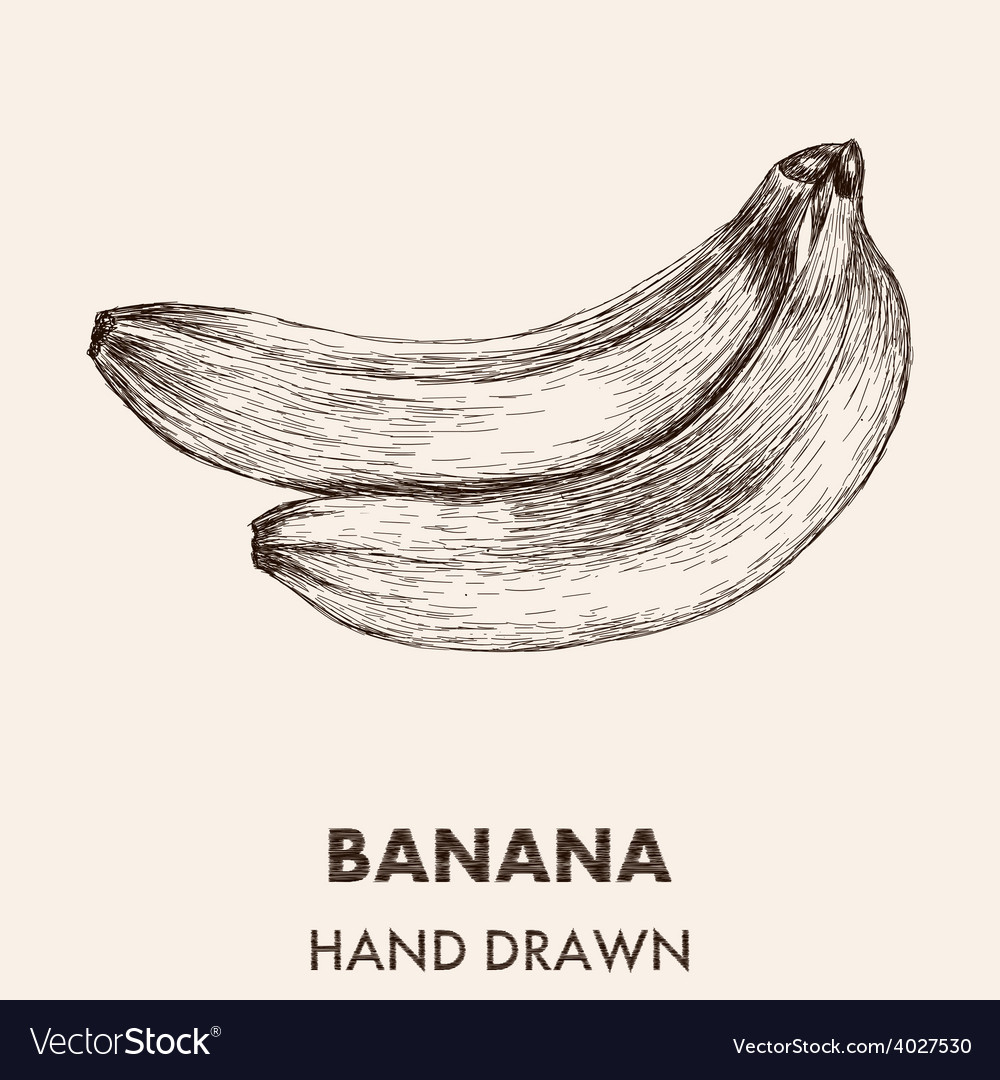 Sketch banana hand drawn fruit collection