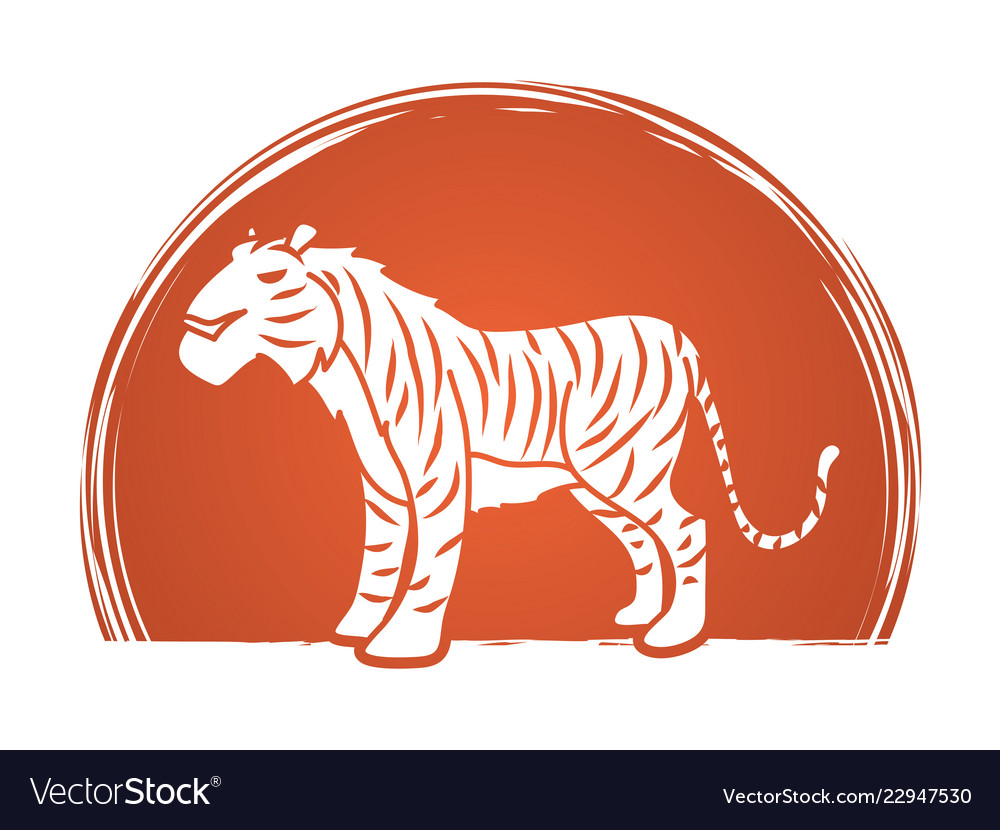 Tiger cartoon logo graphic Royalty Free Vector Image Tiger cartoon logo graphic Royalty Free Vector Image