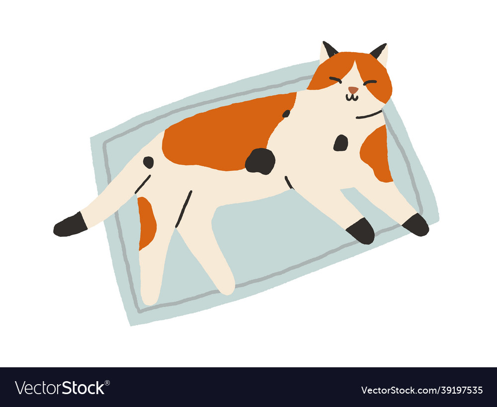 Cute cat sleeping on rug adorable sweet kitty pet Vector Image