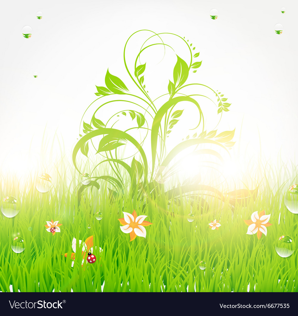 Green grass background