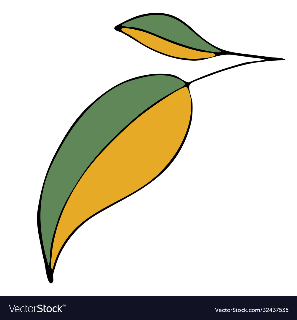 Yellow green leaf with veins color doodles