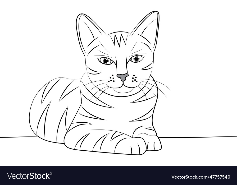 Abstract line of cat are looking with empty vector image Abstract line of cat are looking with empty