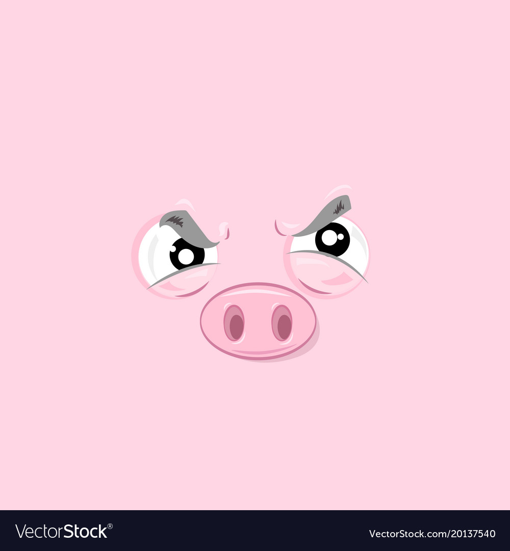 Angry piggy