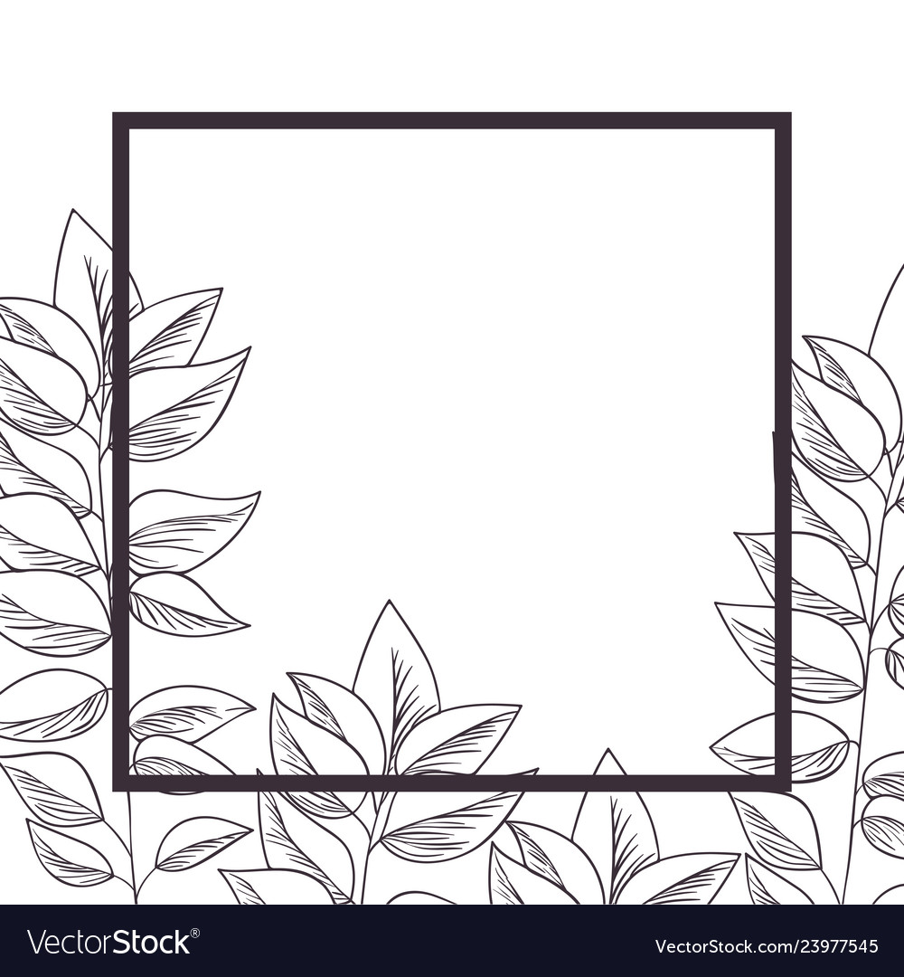 Branch and leaf with frame isolated icon