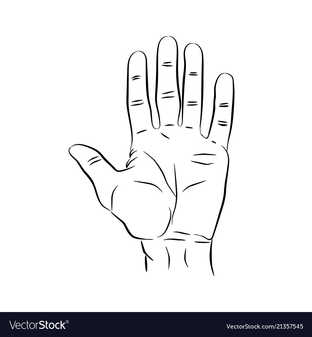 Counting fingers - number five hand showing five Vector Image