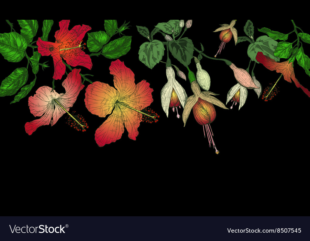 Hibiscus and fuschia flowers on a dark background