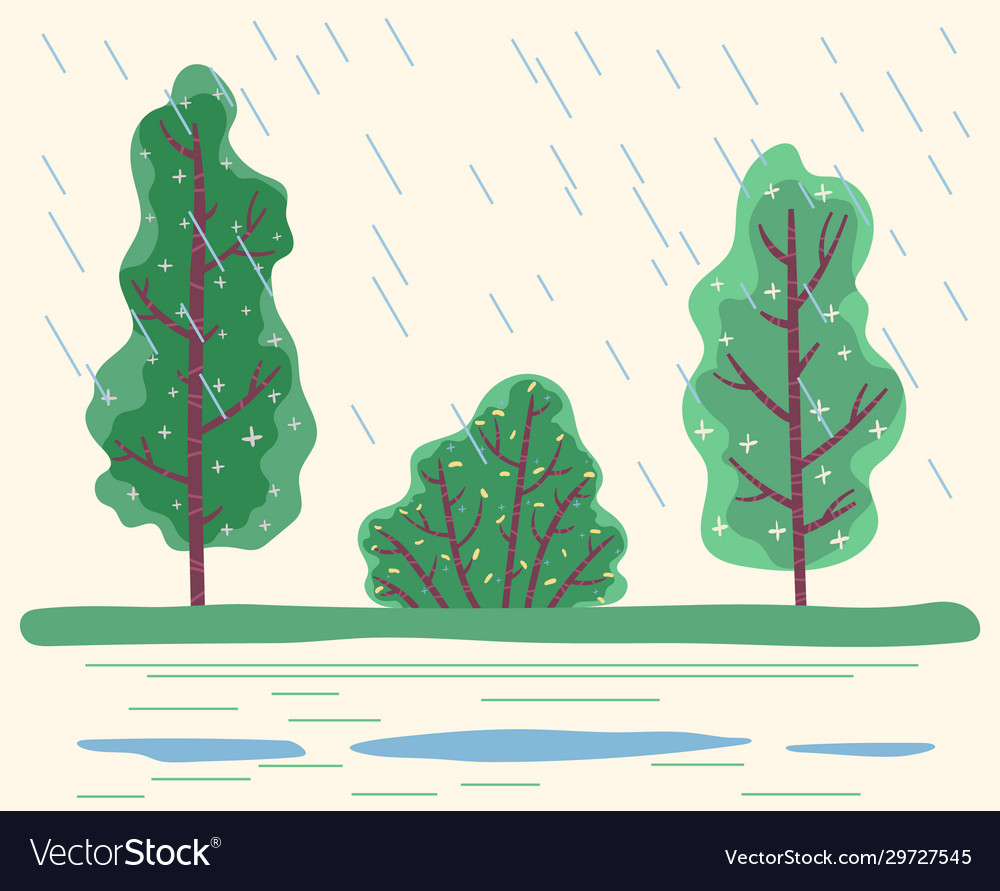 Regen im Wald schlechte Wetterbedingungen Park