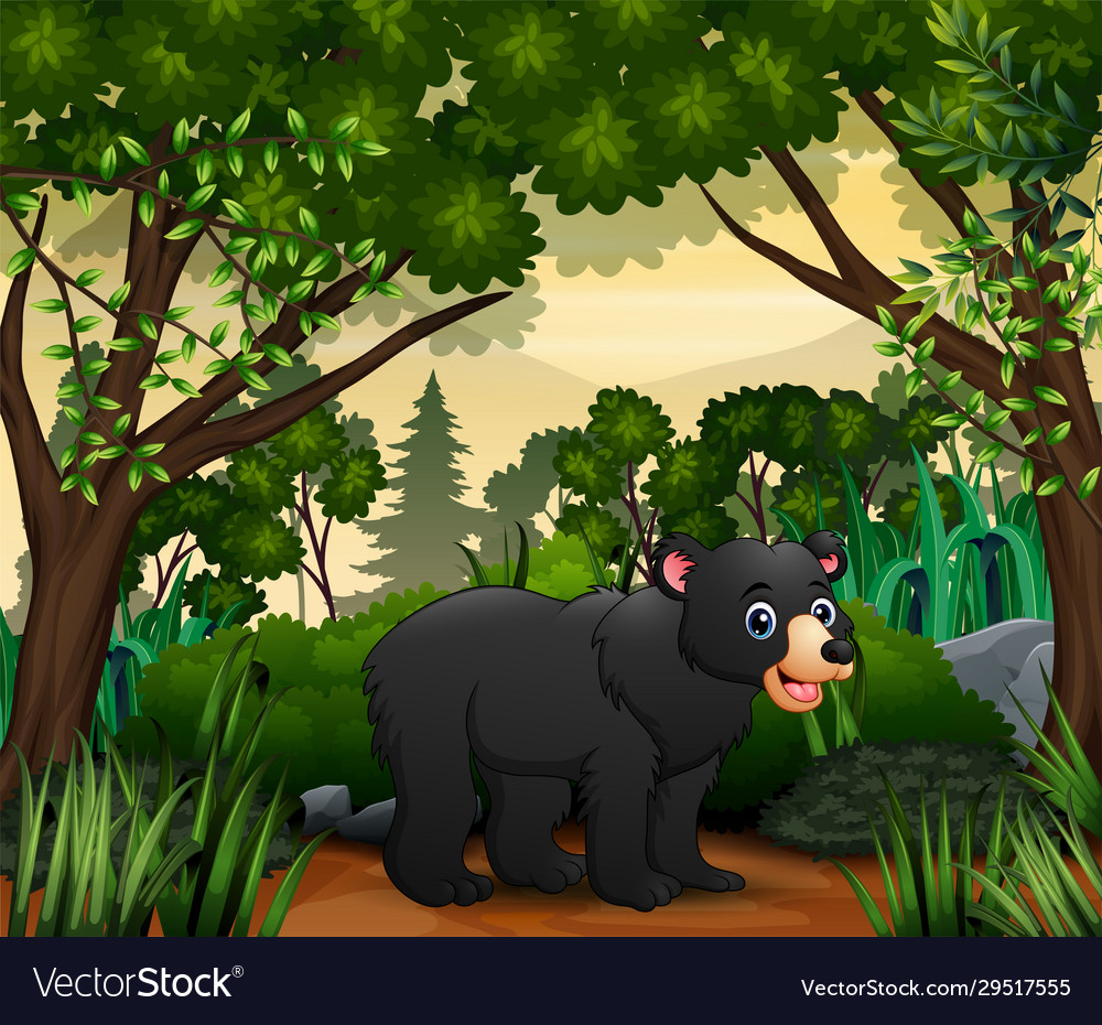 Cute A Bear Walking In Jungle Royalty Free Vector Image