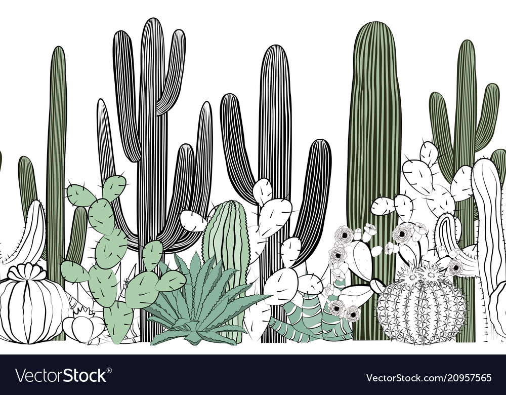 Seamless pattern with cactus wild cactus forest vector image Seamless pattern with cactus wild cactus forest