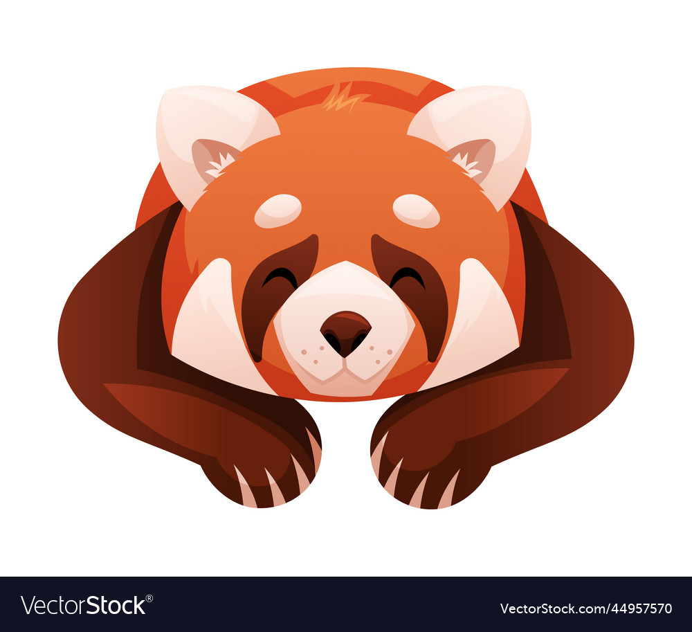 Adorable red panda as small fluffy mammal