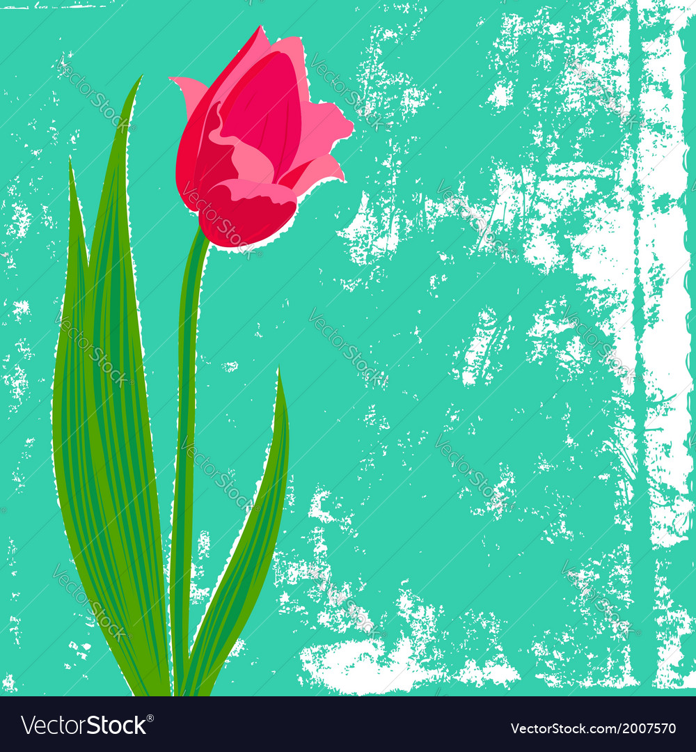 Card with red tulip on textured background