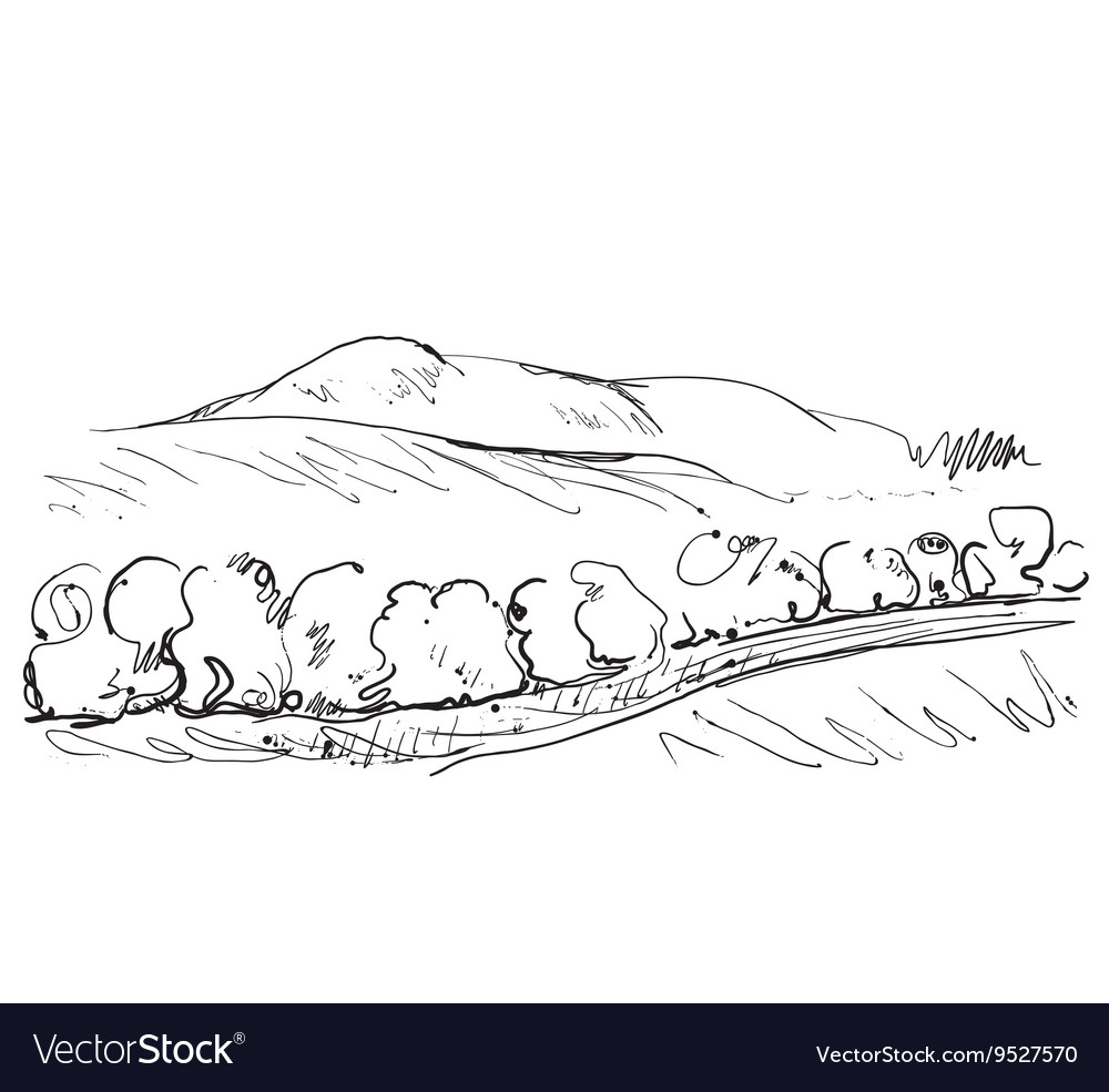 Doodles landscape with fields and trees