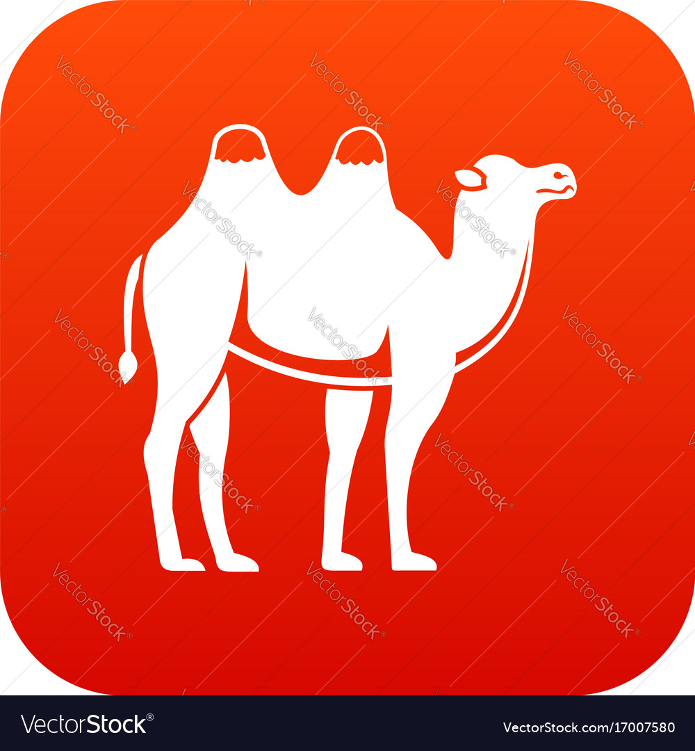 Camel icon digital red Royalty Free Vector Image Camel icon digital red Royalty Free Vector Image