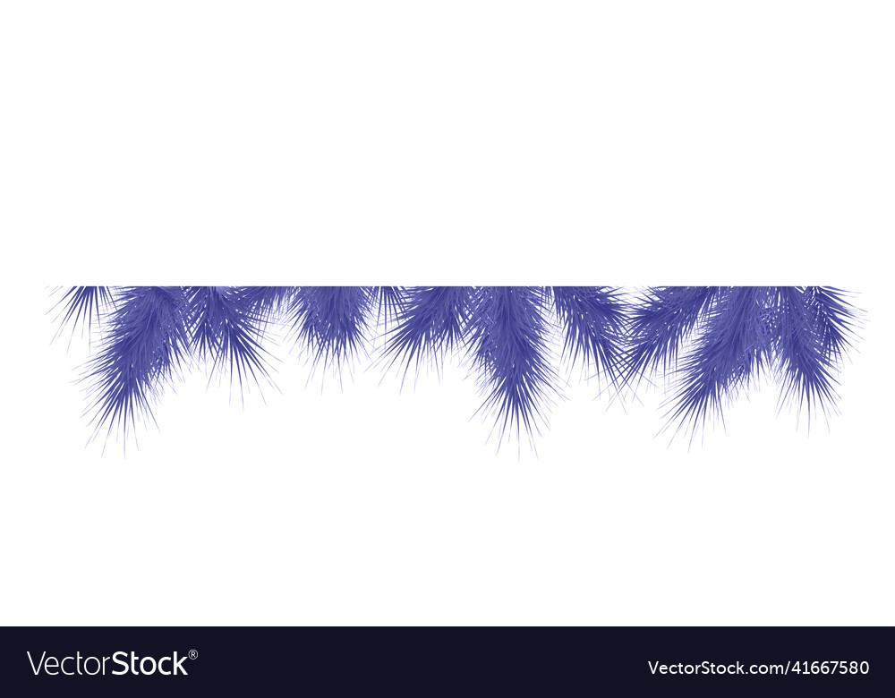 Ffir branch frame template on transparent vector image Ffir branch frame template on transparent