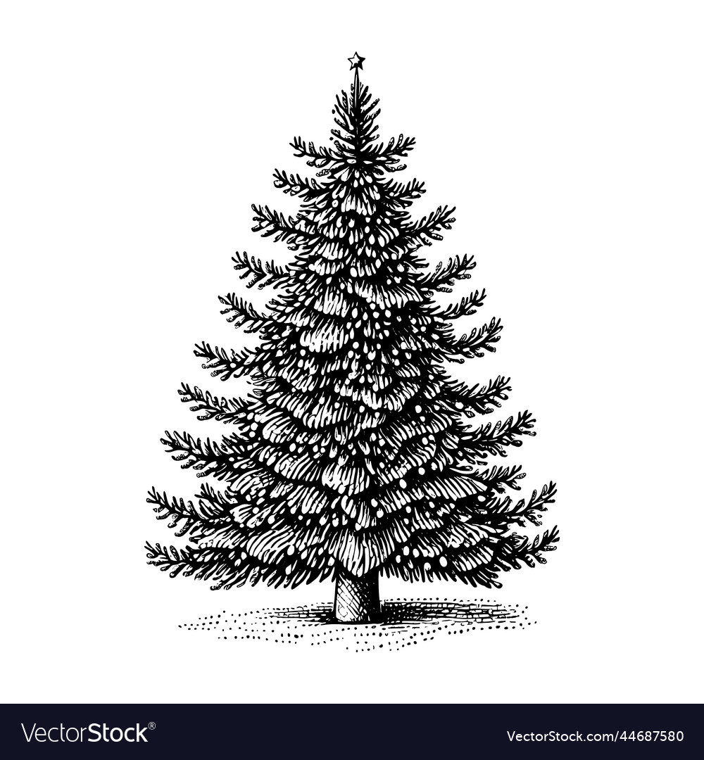 Hand drawn of christmas tree Royalty Free Vector Image