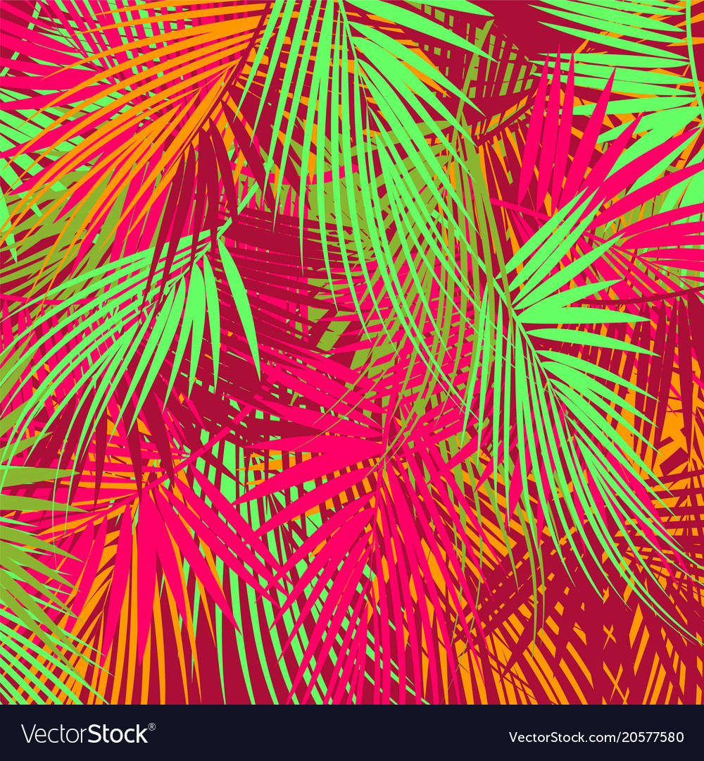 Palm tree branches